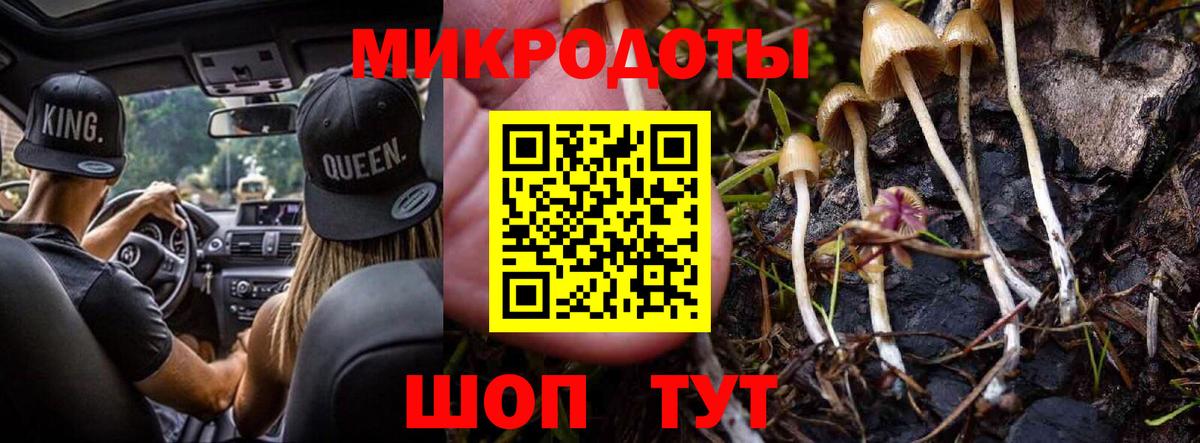 Тавда  Галлюциногенные грибы MAGIC MUSHROOMS  Вход с VPN 